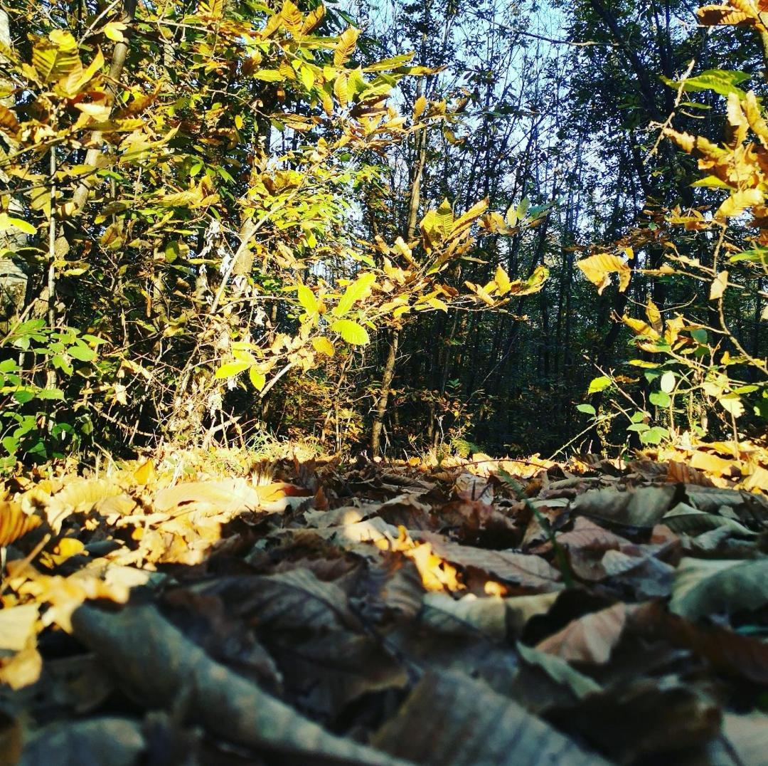 Campsite Les De Fontfroide *