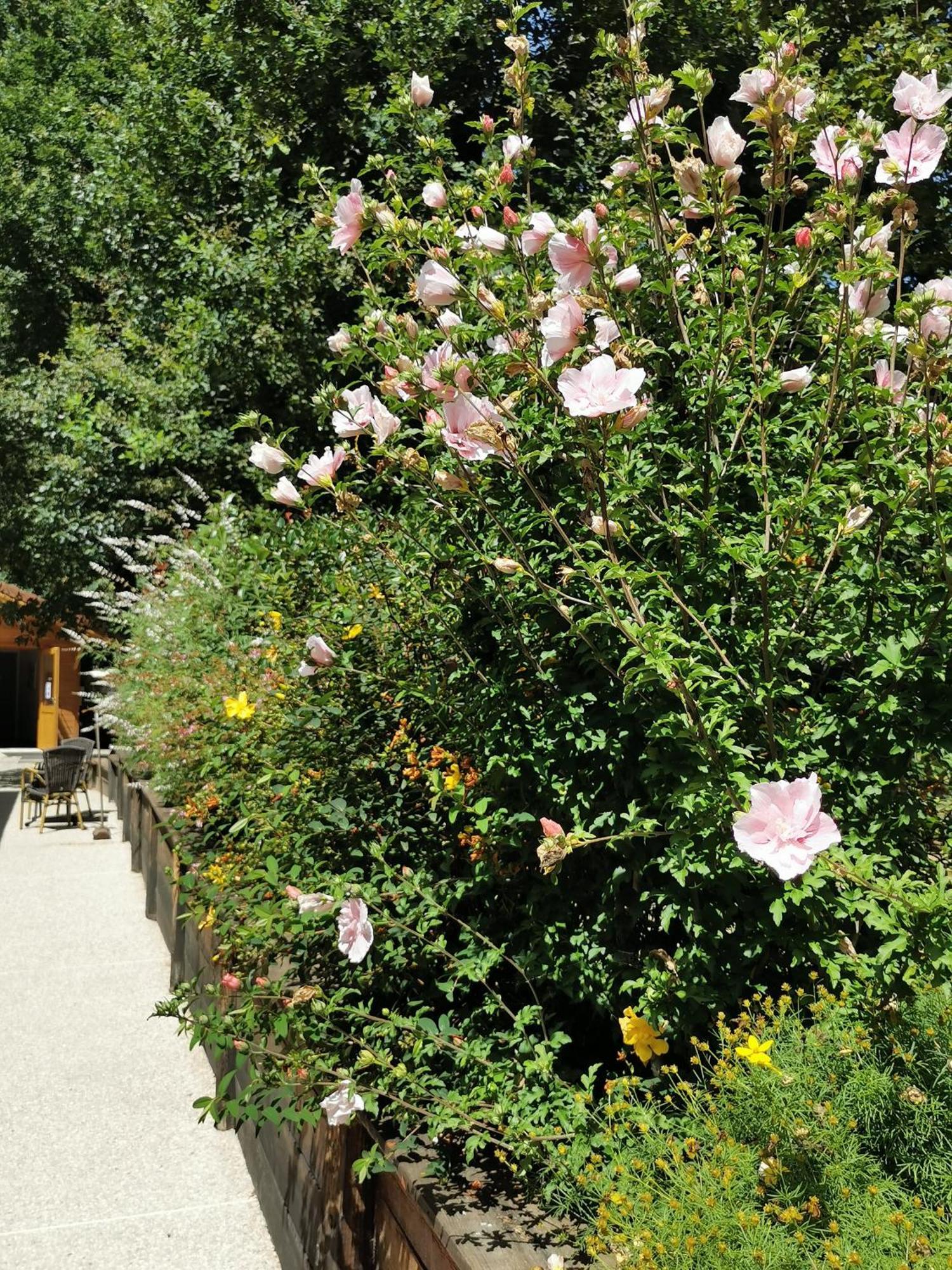 Les De Fontfroide Saint-Antoine (Isere)
