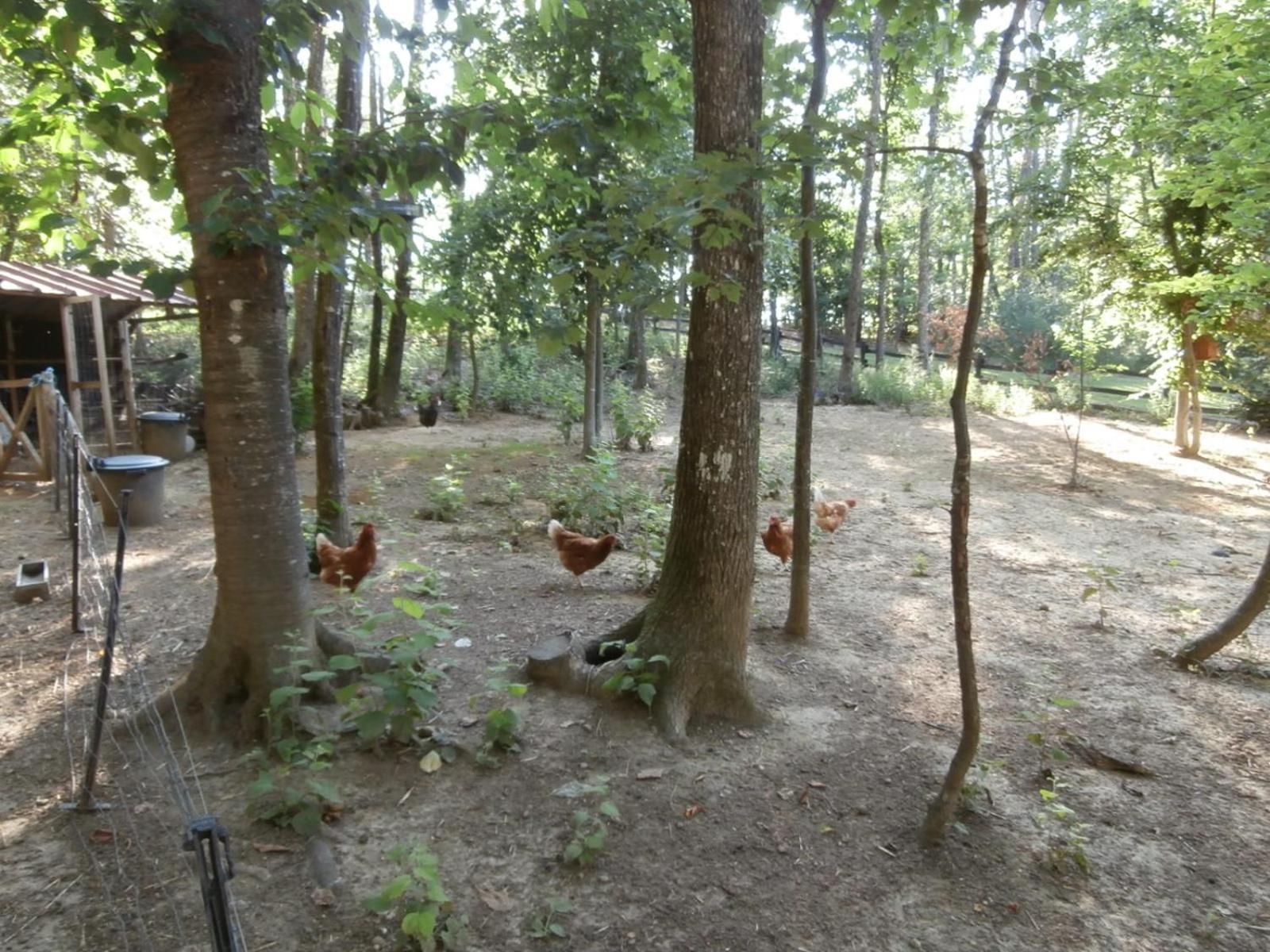 Camping Les De Fontfroide *